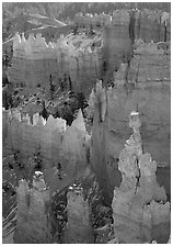 Thor Hammer and hoodoos, mid-morning. Bryce Canyon National Park ( black and white)