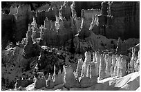 Hoodoos and shadows from Sunrise Point, early winter morning. Bryce Canyon National Park, Utah, USA. (black and white)