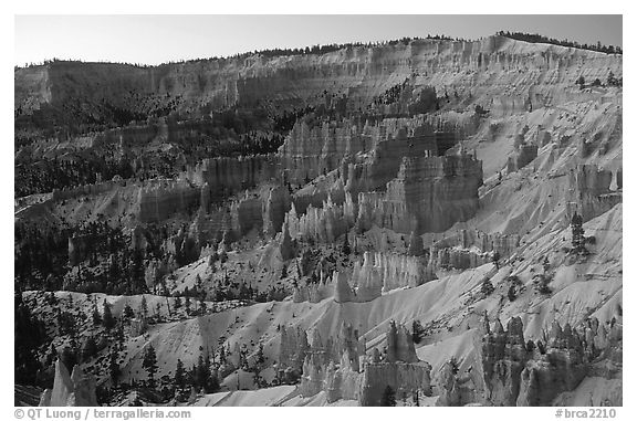 Bryce amphitheater from Sunrise Point, dawn. Bryce Canyon National Park (black and white)
