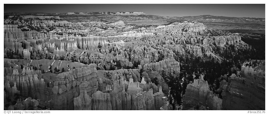 Innumerable brighly colored free-standing hoodoos aligned in amphiteater. Bryce Canyon National Park (black and white)