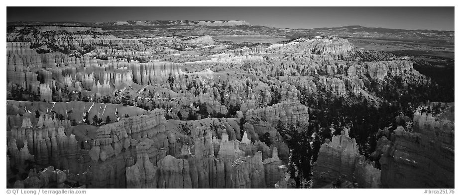 Innumerable brighly colored free-standing hoodoos aligned in amphiteater. Bryce Canyon National Park (black and white)