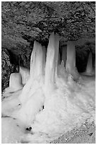 Thick ice stalictites in Mossy Cave. Bryce Canyon National Park, Utah, USA. (black and white)
