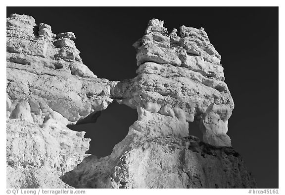 Hoodoos and windows. Bryce Canyon National Park (black and white)
