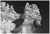 Hoodoos and windows. Bryce Canyon National Park, Utah, USA. (black and white)