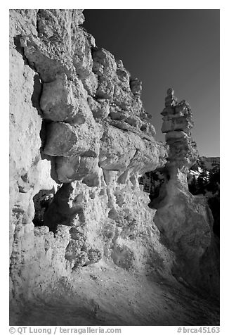 Pink limestone hoodoos, Water Canyon. Bryce Canyon National Park, Utah, USA.