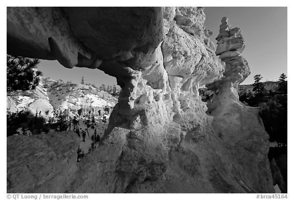 Water Canyon from hoodoo window. Bryce Canyon National Park, Utah, USA.