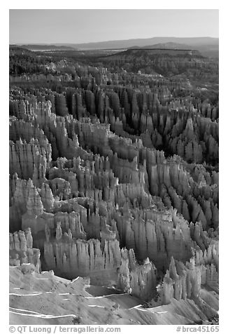 Tightly packed hoodoos from Bryce Point, sunrise. Bryce Canyon National Park (black and white)
