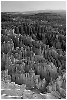 Tightly packed hoodoos from Bryce Point, sunrise. Bryce Canyon National Park, Utah, USA. (black and white)