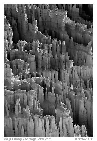 Easily eroded and soft limestone hoodoos. Bryce Canyon National Park, Utah, USA.