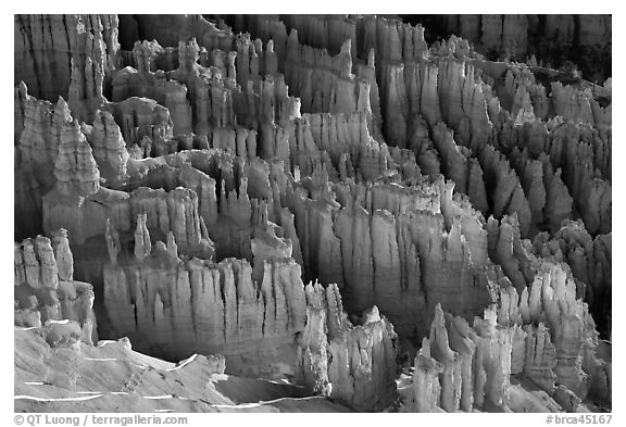 Pinnacles, hoodoos, and fluted walls. Bryce Canyon National Park (black and white)