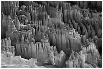 Pinnacles, hoodoos, and fluted walls. Bryce Canyon National Park, Utah, USA. (black and white)