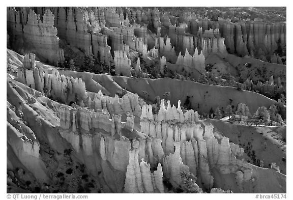 Glowing hoodoos in Queen's garden. Bryce Canyon National Park, Utah, USA.