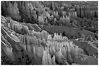 Glowing hoodoos in Queen's garden. Bryce Canyon National Park, Utah, USA. (black and white)