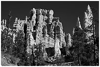 Hoodoos capped with magnesium-rich limestone. Bryce Canyon National Park, Utah, USA. (black and white)