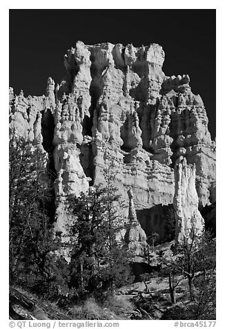 Hoodoos capped with dolomite. Bryce Canyon National Park (black and white)