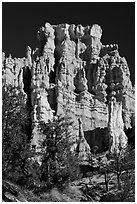 Hoodoos capped with dolomite. Bryce Canyon National Park, Utah, USA. (black and white)