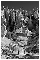 Hiker at the base of hoodoos. Bryce Canyon National Park ( black and white)