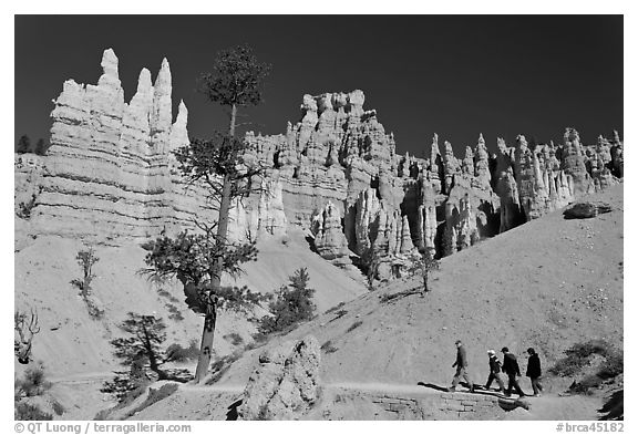 Hiking trail below hoodoos. Bryce Canyon National Park (black and white)