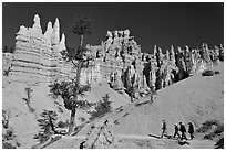 Hiking trail below hoodoos. Bryce Canyon National Park, Utah, USA. (black and white)