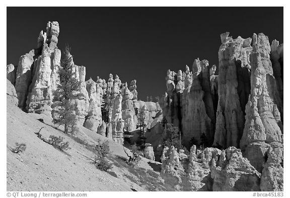 Hoodoos seen from below. Bryce Canyon National Park (black and white)