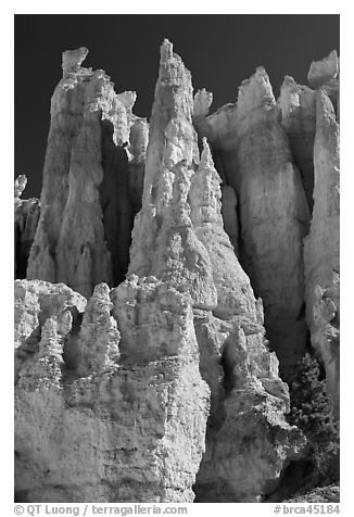 Weathered Claron formation limestone. Bryce Canyon National Park (black and white)