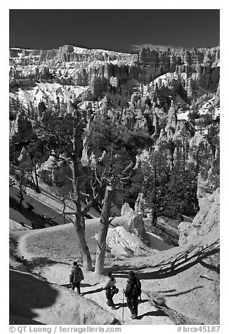 Hiking into amphitheater. Bryce Canyon National Park, Utah, USA.