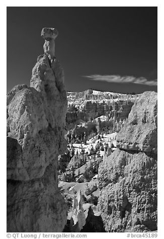 Hoodoos capped by dolomite rocks and amphitheater. Bryce Canyon National Park (black and white)