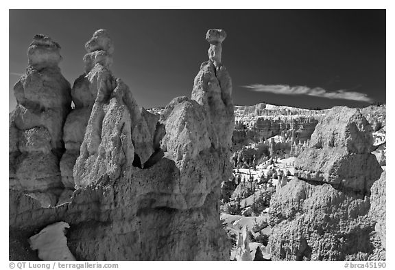 Capped hoodoos and amphitheatre. Bryce Canyon National Park (black and white)