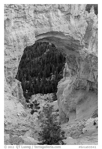 Natural Bridge. Bryce Canyon National Park (black and white)