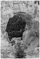 Natural Bridge. Bryce Canyon National Park, Utah, USA. (black and white)