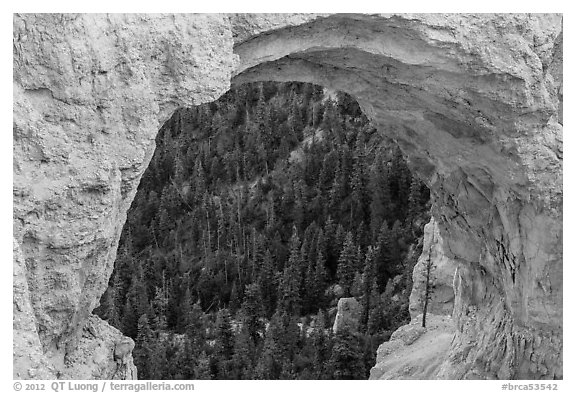 Forest seen through natural bridge. Bryce Canyon National Park, Utah, USA.