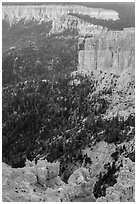 Pink cliffs. Bryce Canyon National Park ( black and white)