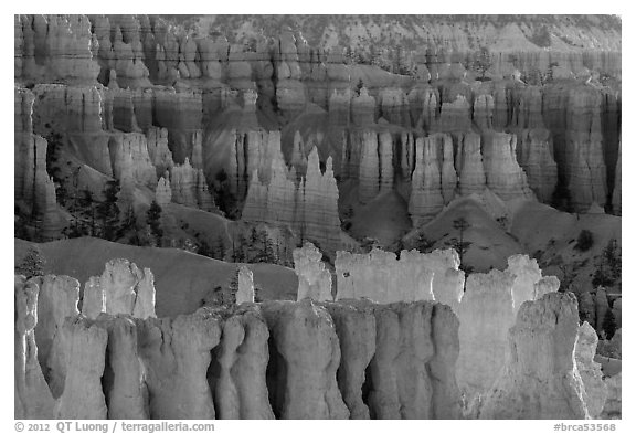 Rows of hoodoos. Bryce Canyon National Park (black and white)