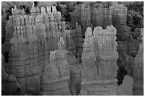 Glowing hoodoos, Fairyland Point, sunrise. Bryce Canyon National Park ( black and white)