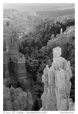 Hoodoos of Claron Formation, Fairyland Point. Bryce Canyon National Park (black and white)