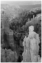 Hoodoos of Claron Formation, Fairyland Point. Bryce Canyon National Park ( black and white)