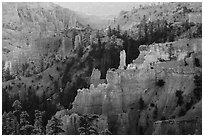 Creamsicle-colored hoodoos and conifers, Fairyland Point. Bryce Canyon National Park ( black and white)