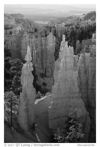 Hoodoos and cirque, Fairyland Point. Bryce Canyon National Park (black and white)
