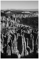 Pink cliffs from Rainbow Point, early morning. Bryce Canyon National Park ( black and white)