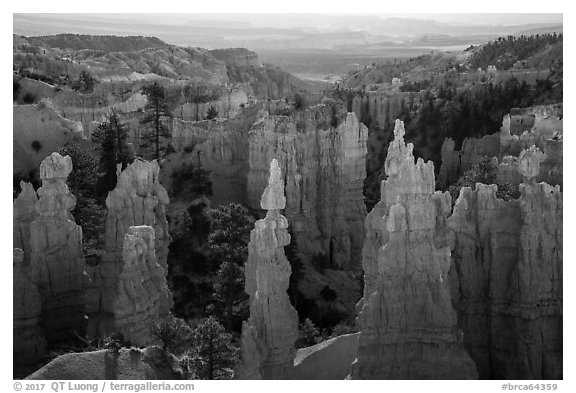 Hoodoos and Fairyland Canyon, early morning. Bryce Canyon National Park (black and white)