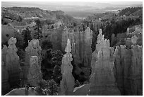 Hoodoos and Fairyland Canyon, early morning. Bryce Canyon National Park ( black and white)