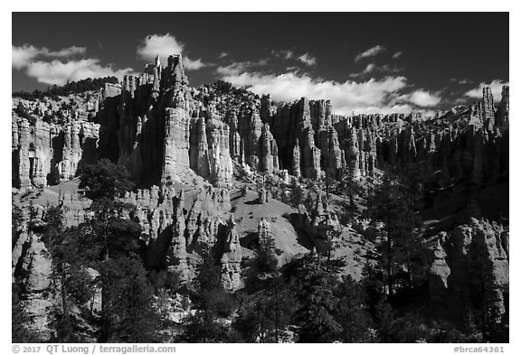 Hill with hoodoos along Fairyland Loop. Bryce Canyon National Park (black and white)