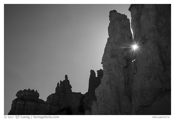 Sun shining between hoodoos. Bryce Canyon National Park (black and white)