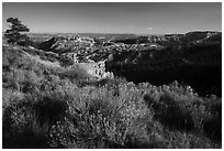 Grassy rim and amphitheater. Bryce Canyon National Park ( black and white)