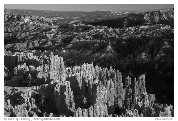 View from northern Rim Trail, late afternoon. Bryce Canyon National Park (black and white)
