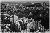 View from northern Rim Trail, late afternoon. Bryce Canyon National Park ( black and white)