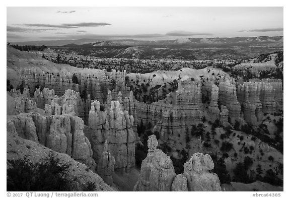 Amphitheater near Fairyland Point at dusk. Bryce Canyon National Park (black and white)