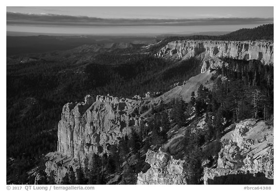 Pink cliffs and forest at sunrise from Rainbow Point. Bryce Canyon National Park (black and white)