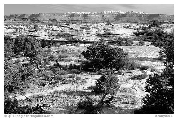 View with bare limestone table, canyons and mountains, the Needles. Canyonlands National Park (black and white)