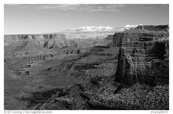 Buck Canyon overlook and La Sal mountains, Island in the sky. Canyonlands National Park, Utah, USA.